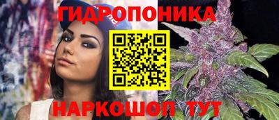 герыч Новозыбков