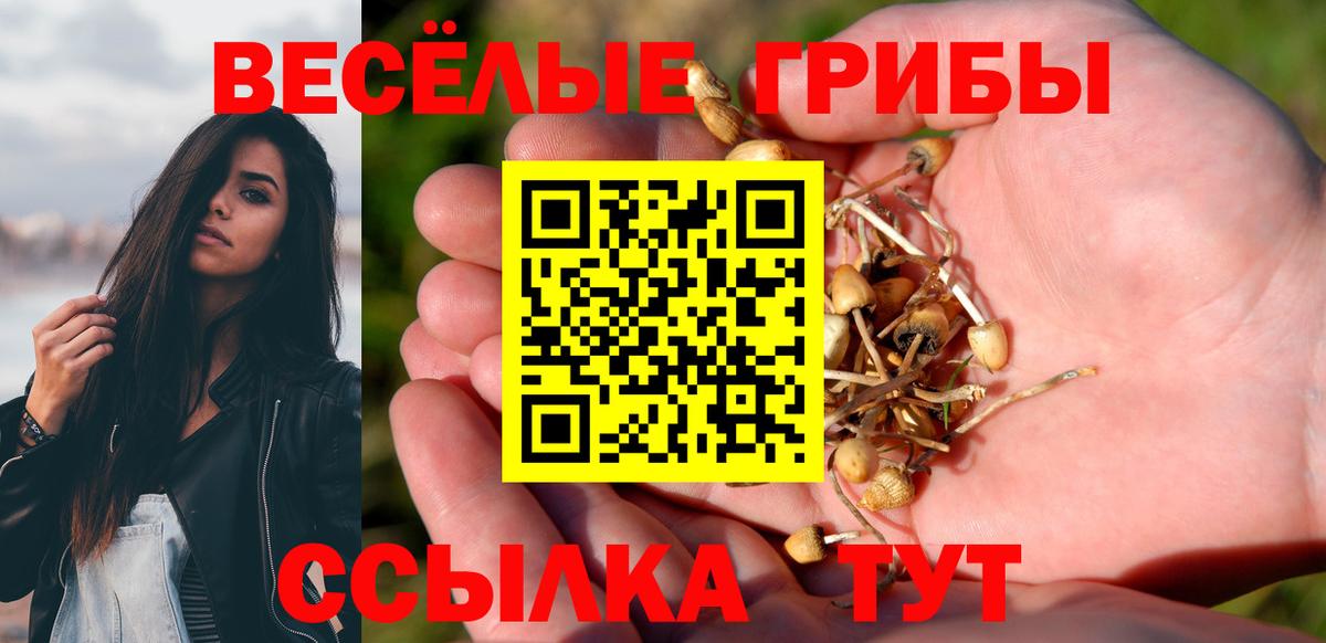 Галлюциногенные грибы GOLDEN TEACHER  Вход с VPN  Рузаевка 