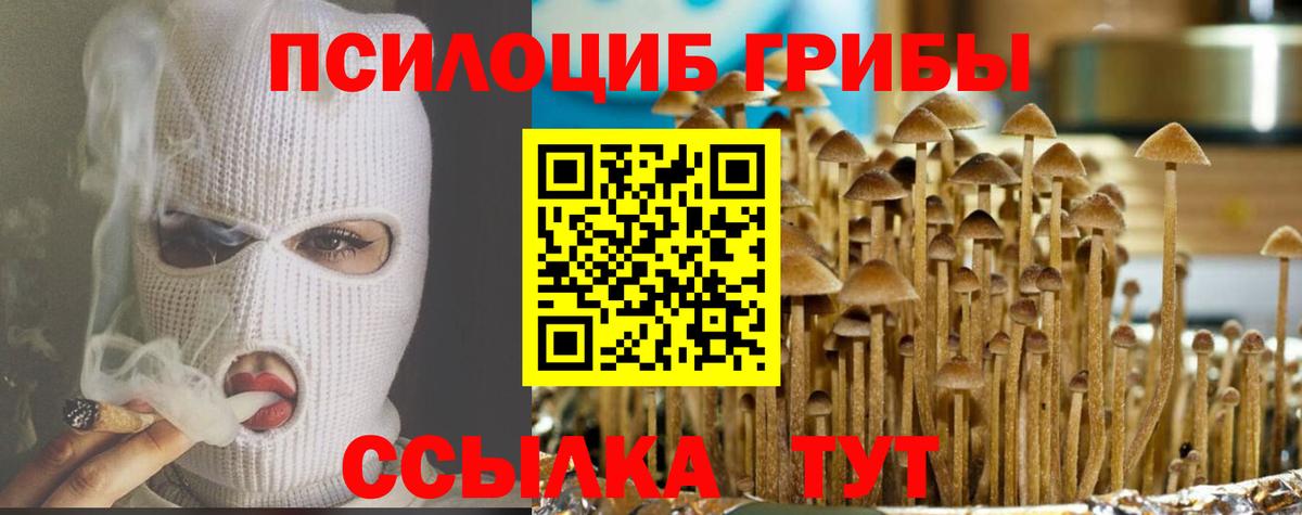 Псилоцибиновые грибы GOLDEN TEACHER Рузаевка
